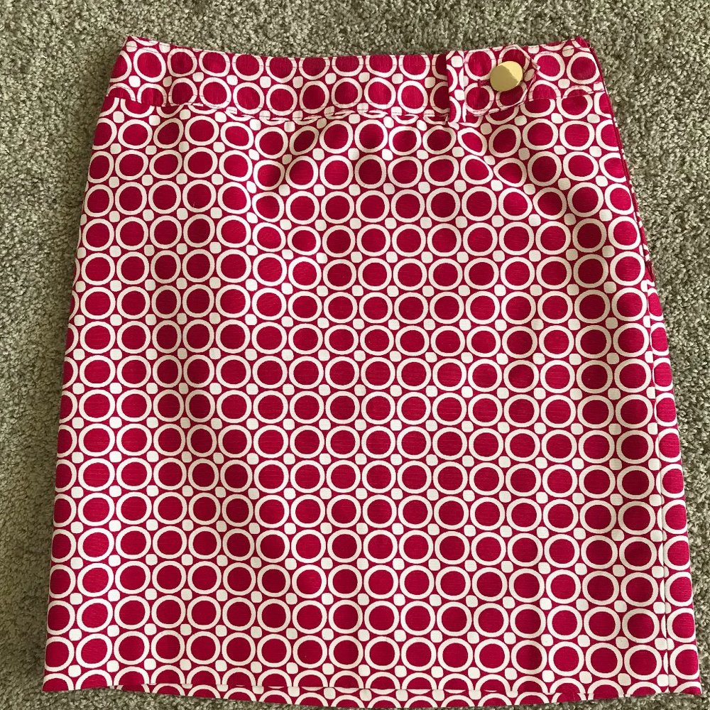 Ann Taylor Skirt